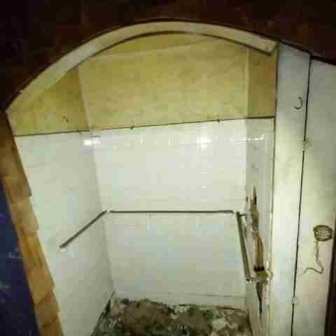 8031 conger (13).jpg